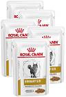 Royal Canin VET CAT Urinary S/O Moderate Calorie Karma dla kota 12x85g PAKIET